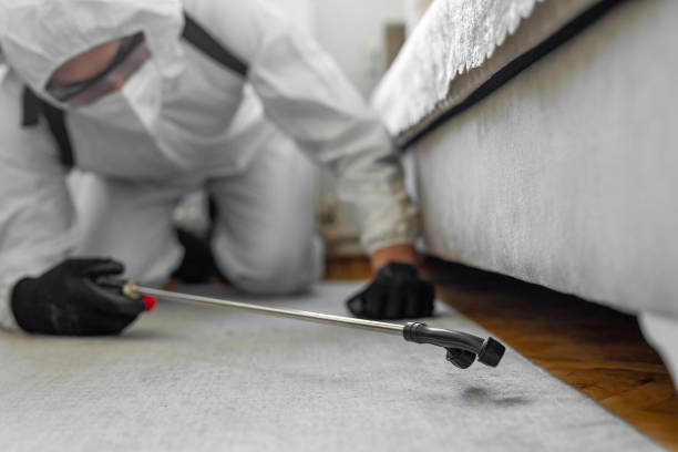 Professional Pest Control technician working in Isle of Wight County County, VA